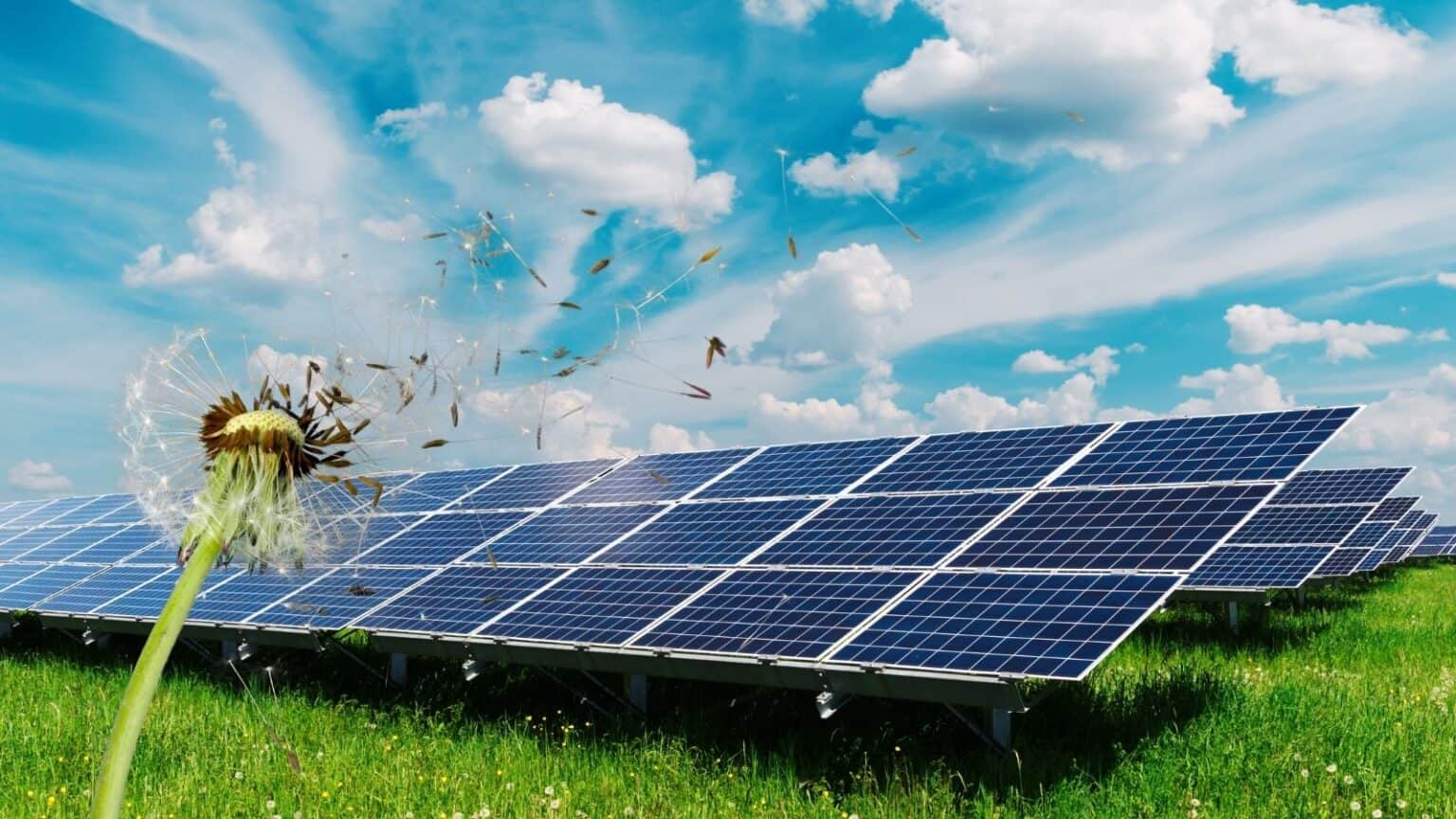Fotovoltaico: nascono i primi pannelli resistenti ai forti venti