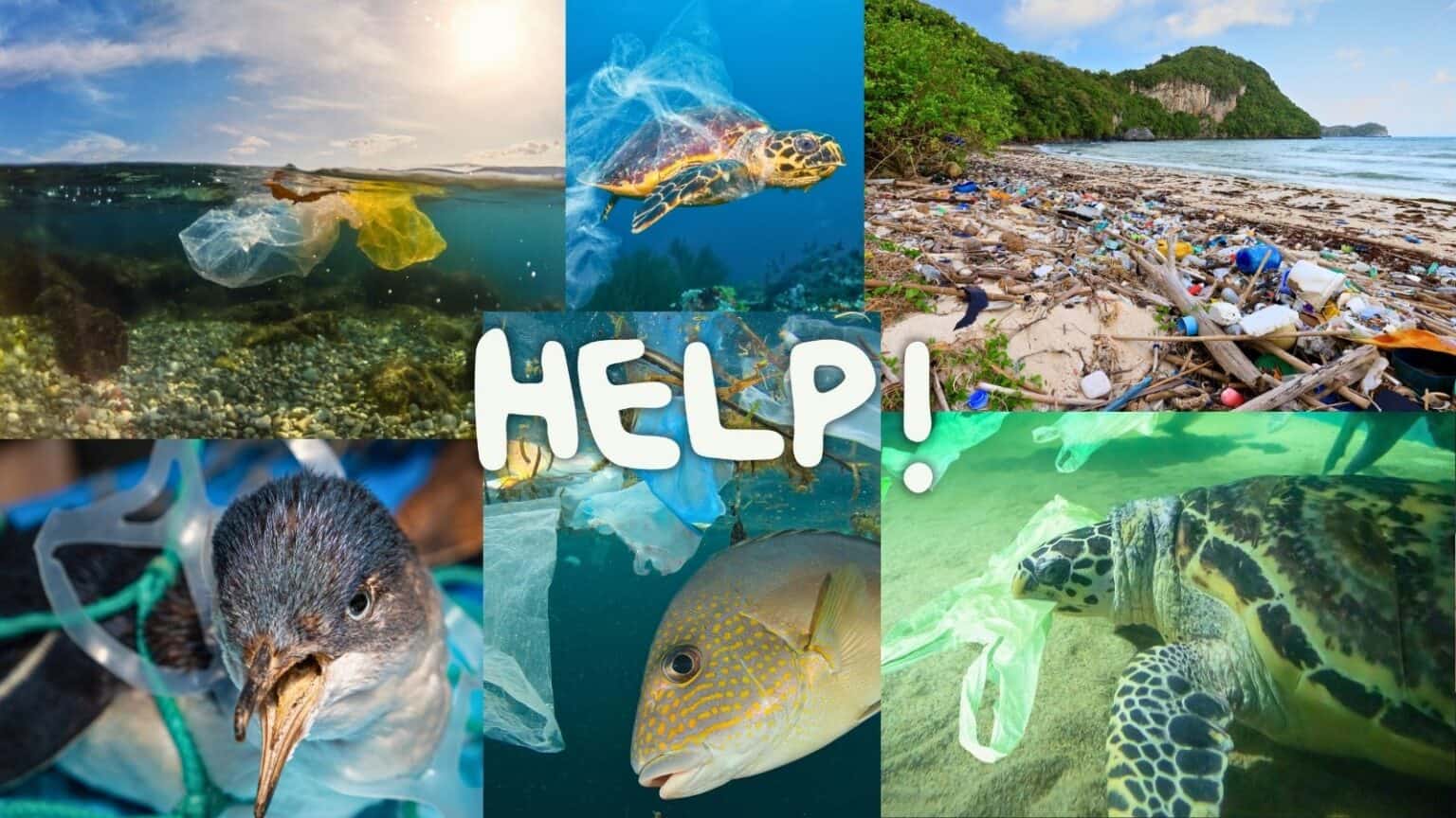 Plastica anche nel Mediterraneo: visibile dallo spazio