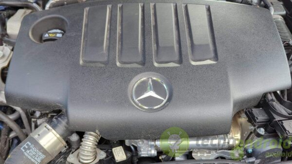 mercedes - immagine 14 mercedes - immagine 14