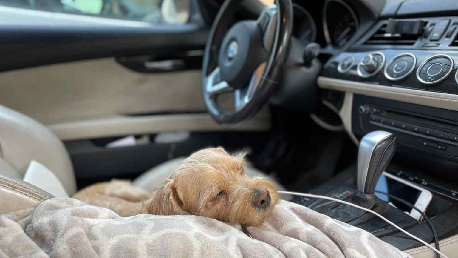 In un lungo viaggio può capitare di sentirsi sopraffatti dal sonno, ma possiamo accostarci e dormire senza rischiare di incorrere in penali?
