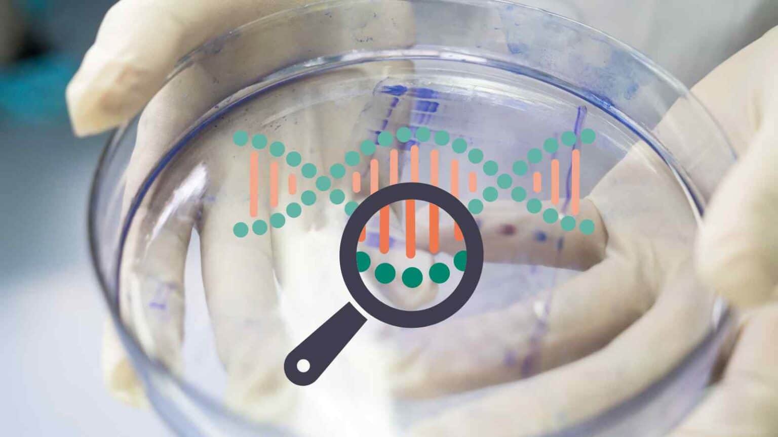 AlphaFold3 permetterà agli scienziati di capire meglio il microscopico mondo della biologia molecolare da una prospettiva unica