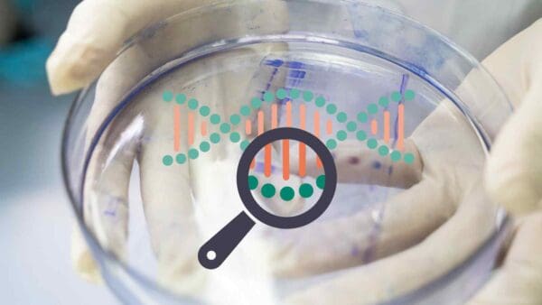 AlphaFold3 permetterà agli scienziati di capire meglio il microscopico mondo della biologia molecolare da una prospettiva unica