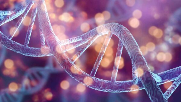 AlphaFold3 è uno strumento innovativo a disposizione della scienza, che permette un punto di vista unico nella biologia