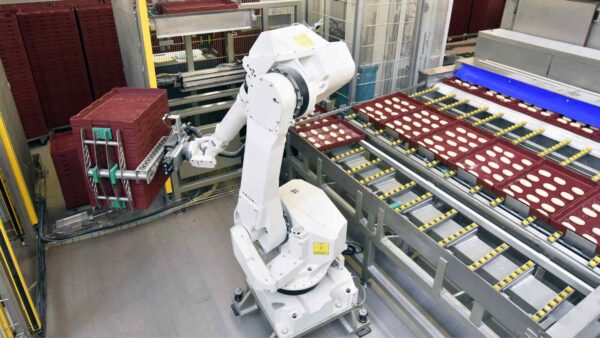 L'automatizzazione viene sempre più normalizzata nelle aziende italiane