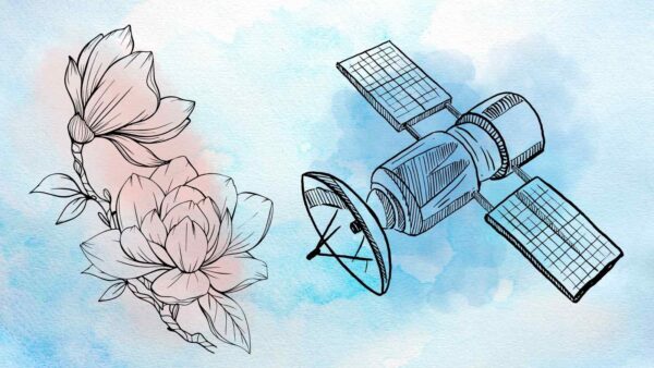 Dal legno di magnolia si possono creare cose meravigliose, tra cui satelliti da inviare nello spazio profondo
