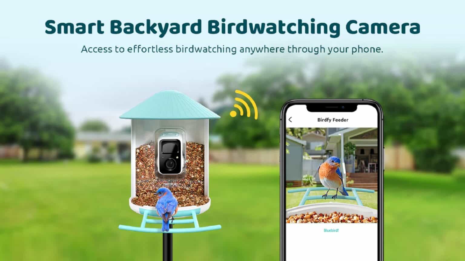 Birdfy, Feeder, AI, IoT