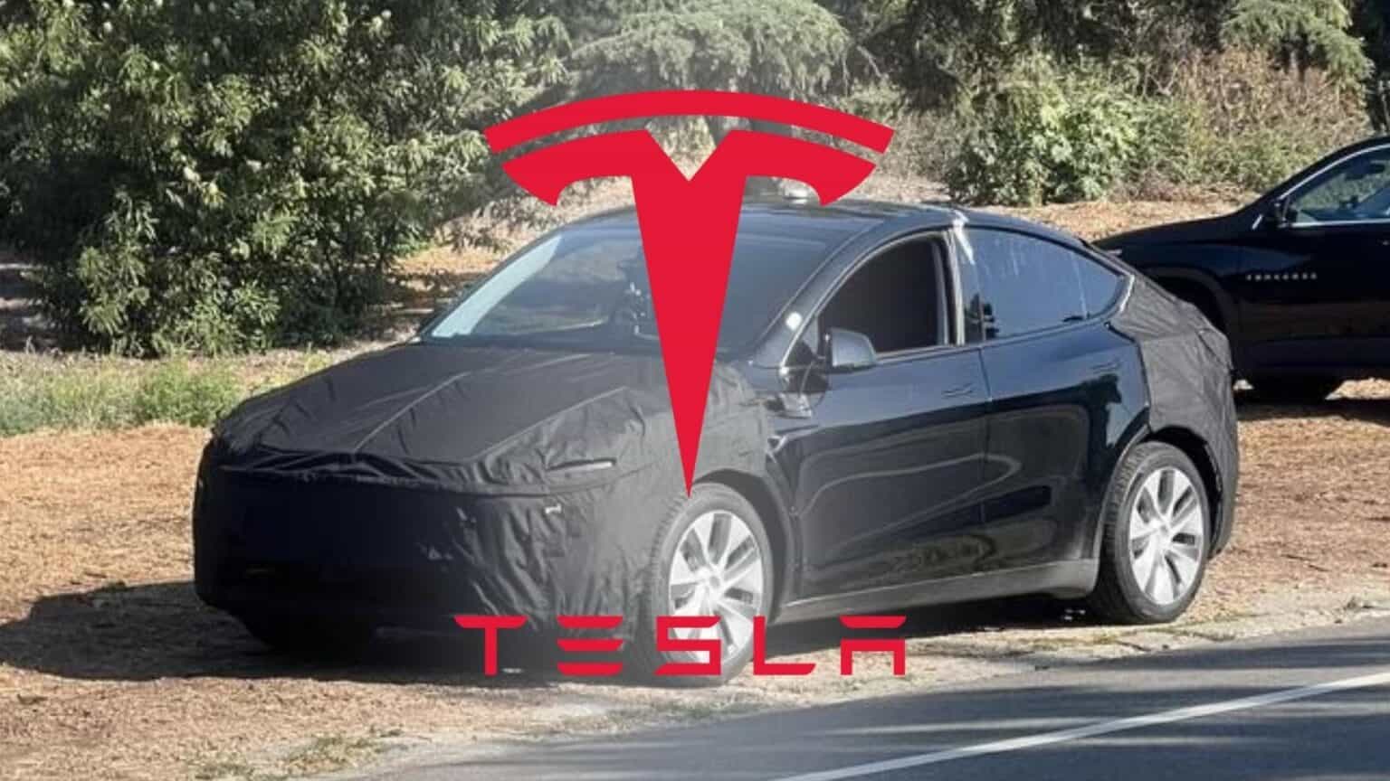 Tesla Model Y, la Nuova "Juniper" in arrivo: spuntano foto spia
