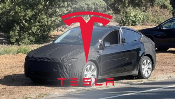 Tesla Model Y, la Nuova "Juniper" in arrivo: spuntano foto spia