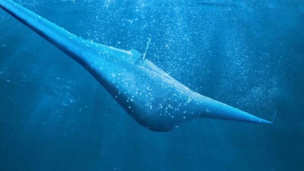 Scienza, drone che somiglia ad una razza