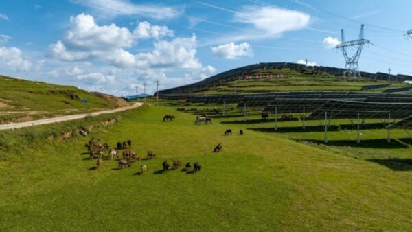 Cina: parco solare da 8 GW, si punta alla net zero