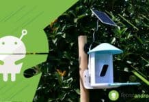 Birdfy Lite scopri le razze degli uccelli con la mangiatoia AI con telecamera integrata – Recensione