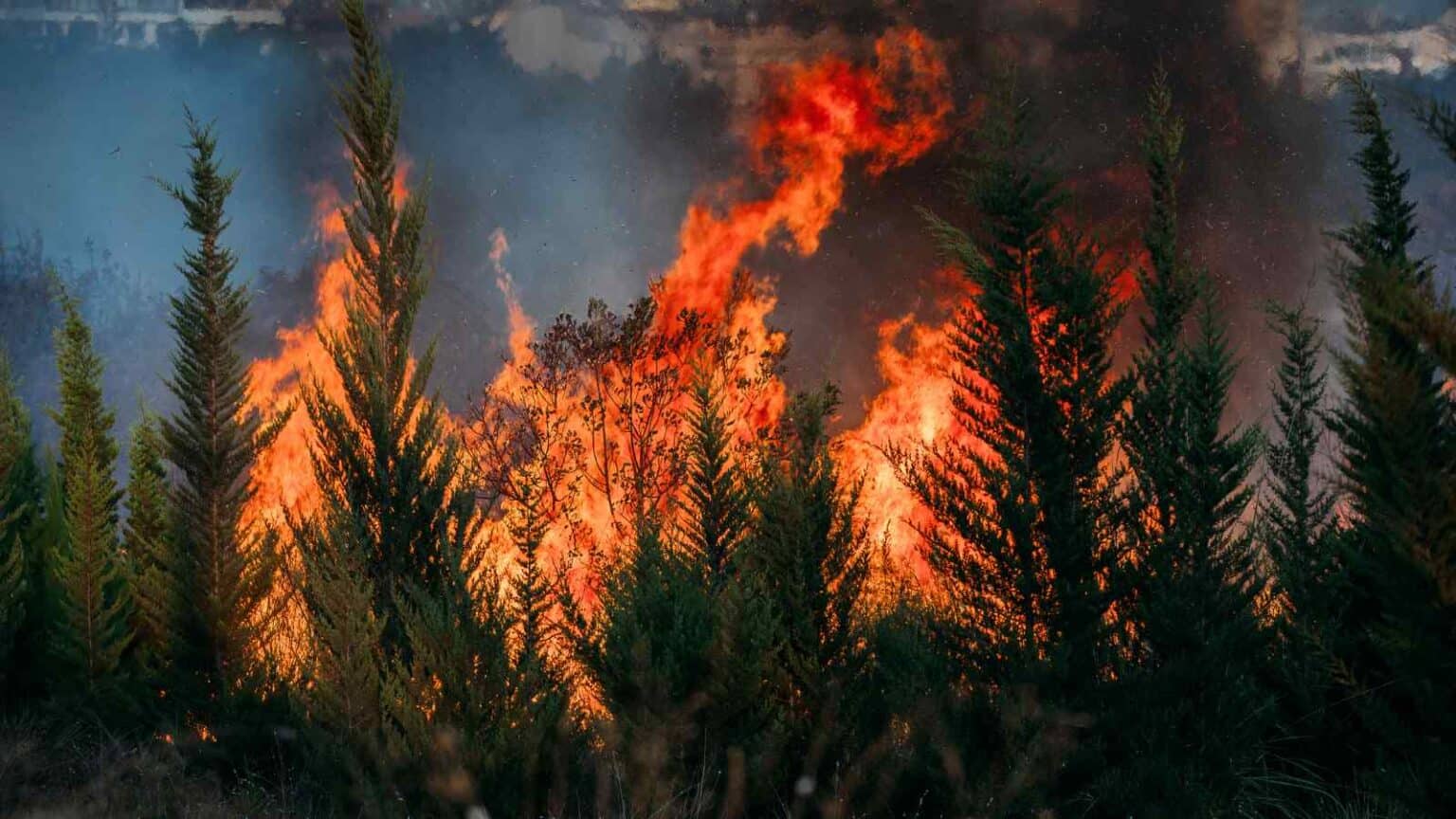 Inspire, una start up genovese, sta progettando la serie di droni M.A.R.S. con il quale contribuirà alla lotta contro gli incendi boschivi.