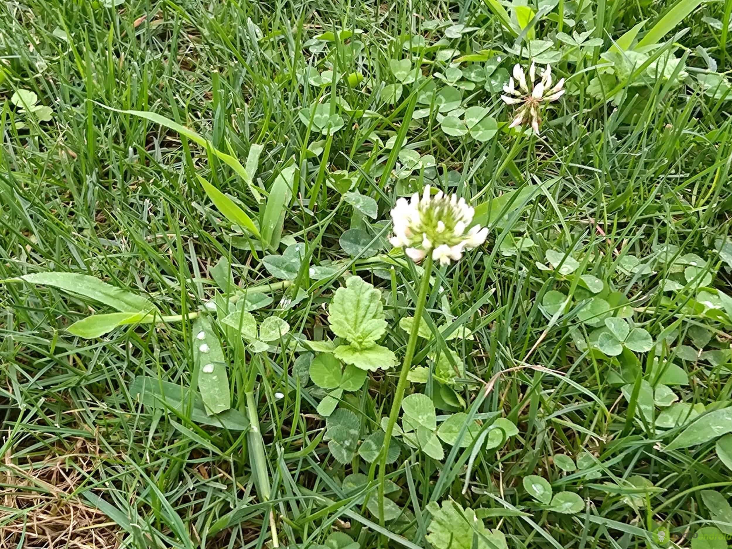 photo_5942967099997667343_w