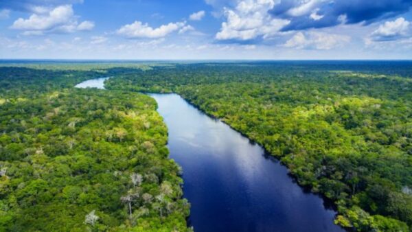 Foreste tropicali in difficoltà: il cambiamento climatico le sta danneggiando