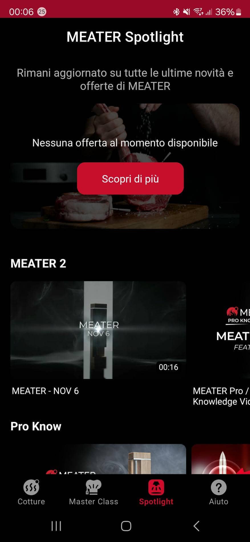 Meater Pro XL (14)