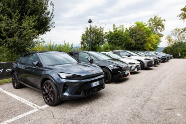 Cupra - caratteristiche Cupra - caratteristiche