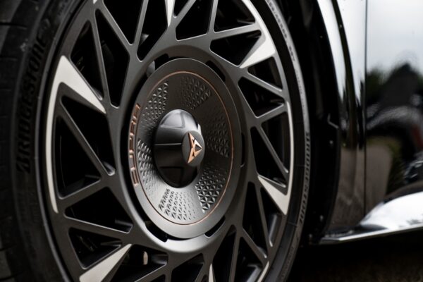 Cupra - immagine 10 Cupra - immagine 10