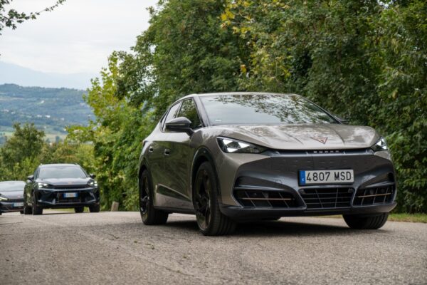 Cupra - dettaglio Cupra - dettaglio