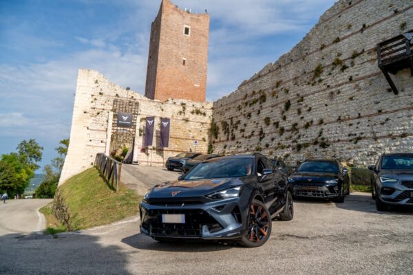 Cupra - immagine 13 Cupra - immagine 13