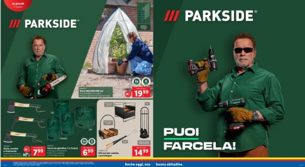 lidl - caratteristiche lidl - caratteristiche
