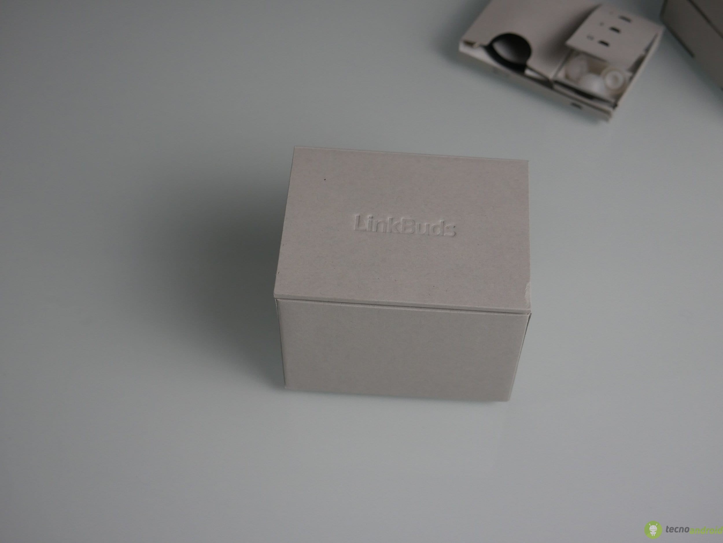 Sony Linkbuds Fit (20)