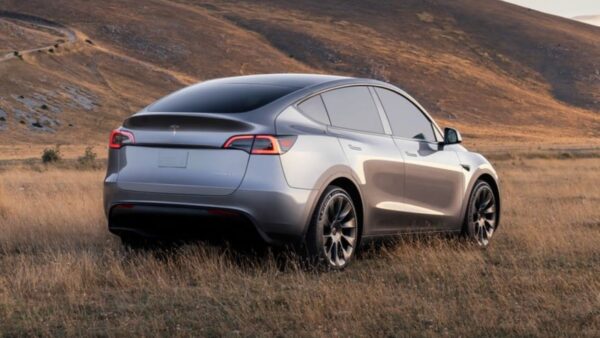 model y