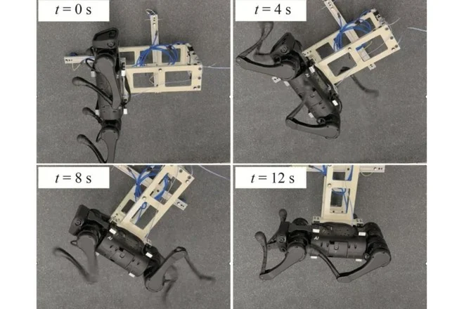 Cina: nasce il robot-gatto per esplorare lo spazio