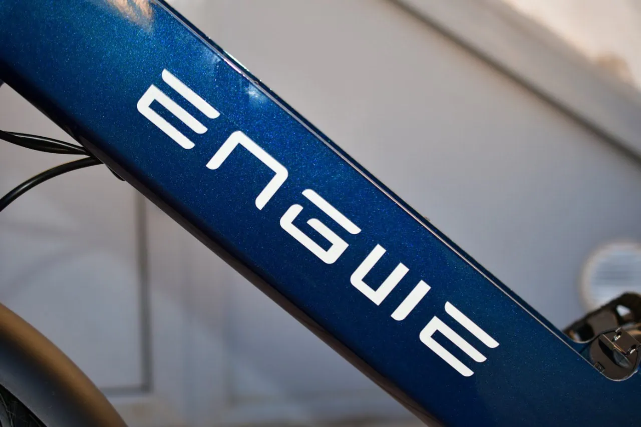 Engwe Cargo (21)