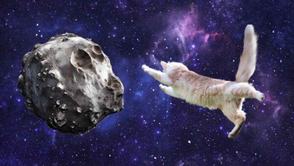 La Cina ha sviluppato una tecnologia innovativa per visitare e raccogliere i dati sugli asteroidi del nostro Sistema Solare: il gatto-robot.