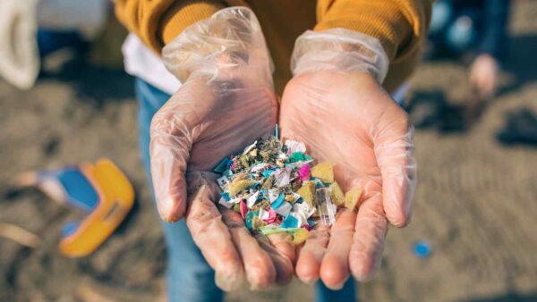 Le nuove plastiche supramolecolari sembrerebbero essere i sostituti ideali, ecologici e sostenibili, delle attuali microplastiche.
