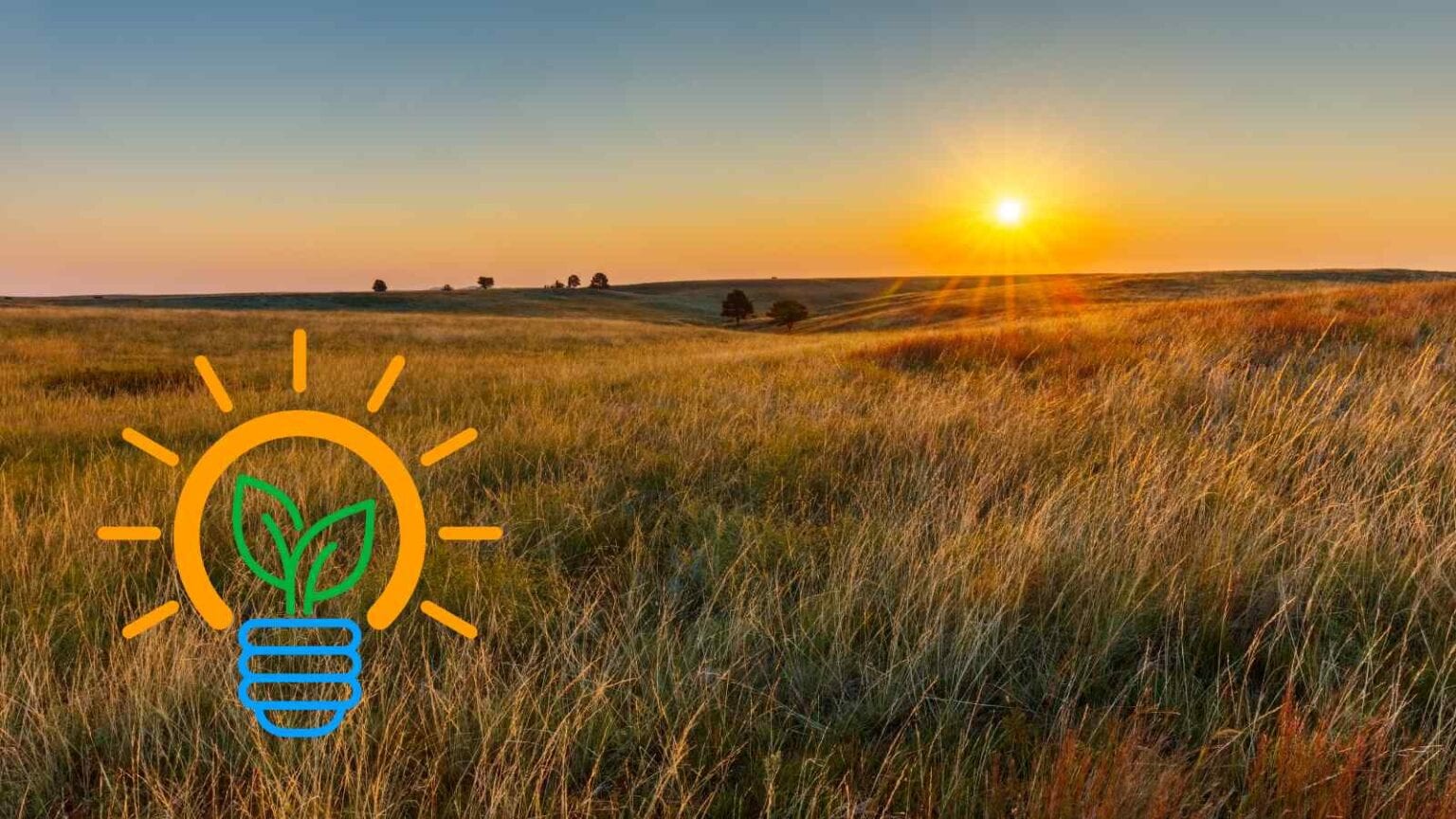 Il Mockingbird Solar Center è il nuovissimo parco solare costruito dall'azienda danese Ørsted per il Texas, preservando l'habitat naturale.