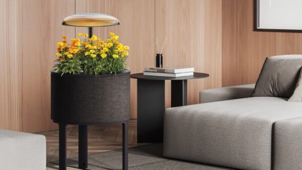 LG giardino fiorito