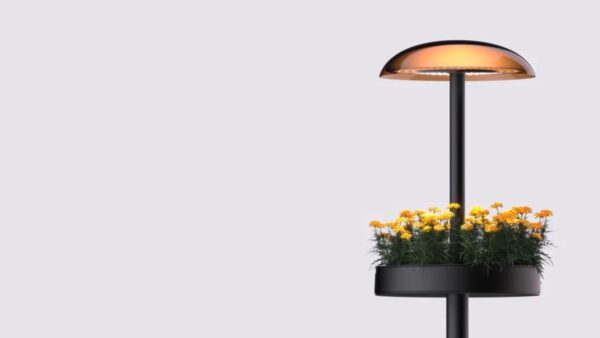 LG giardino fiorito