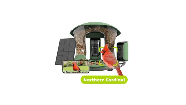 Birdfy, feeder, 2, bamboo