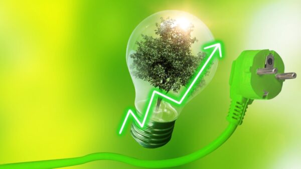 Energia sostenibile: pilastro della transizione al green in Italia