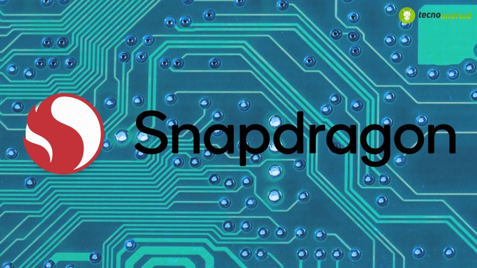 Snapdragon