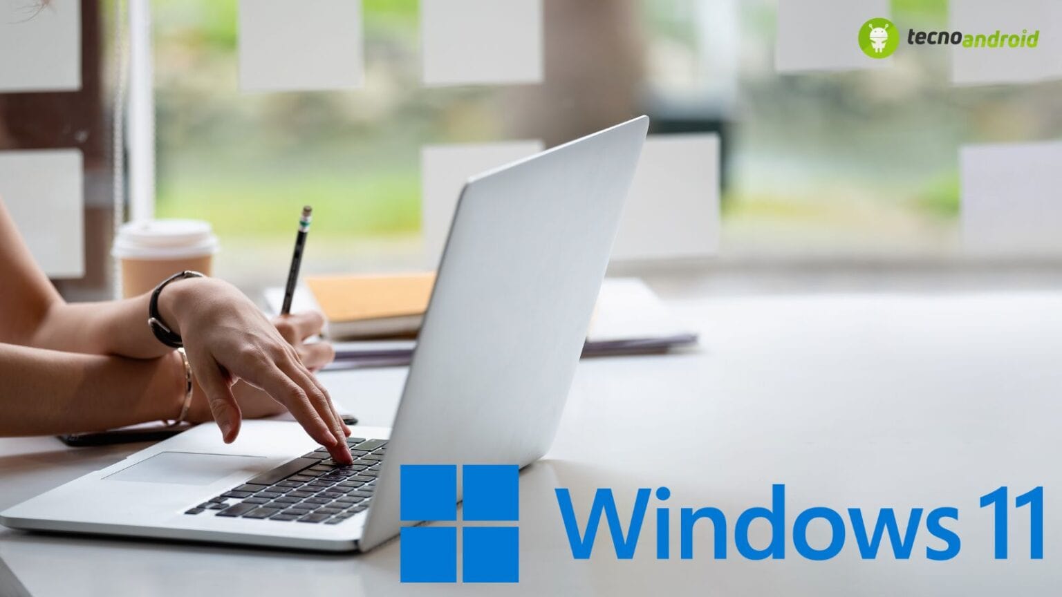 windows