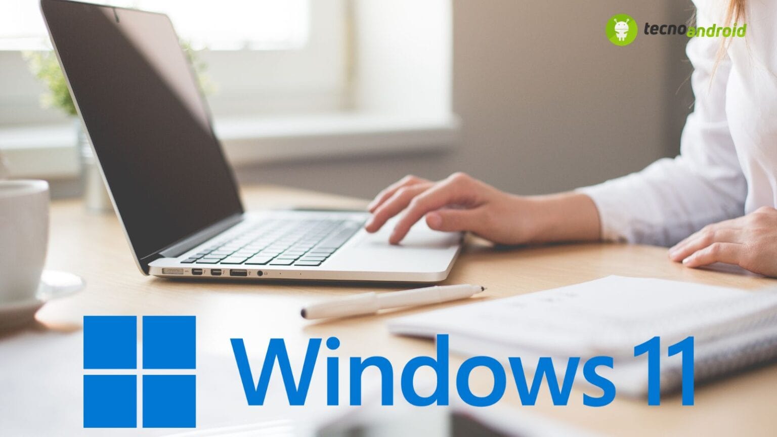 windows