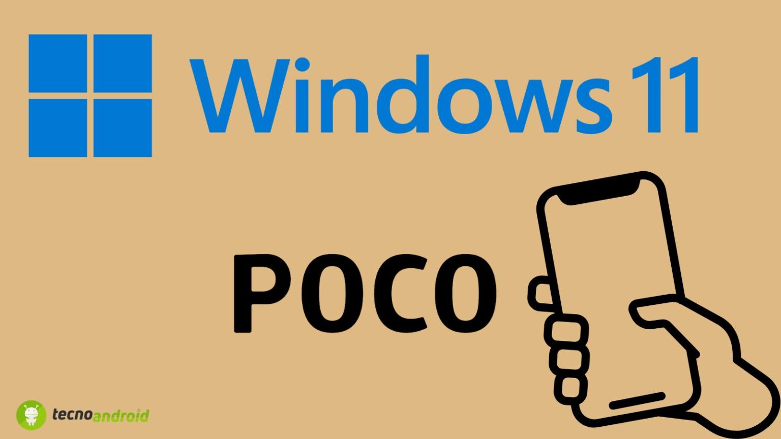 windows
