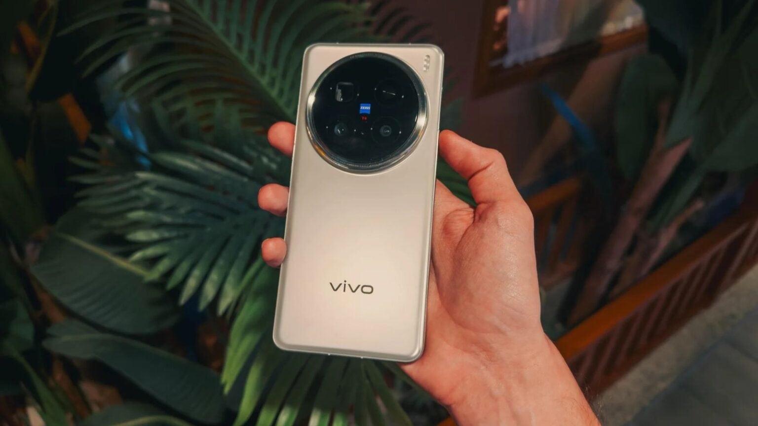 Vivo