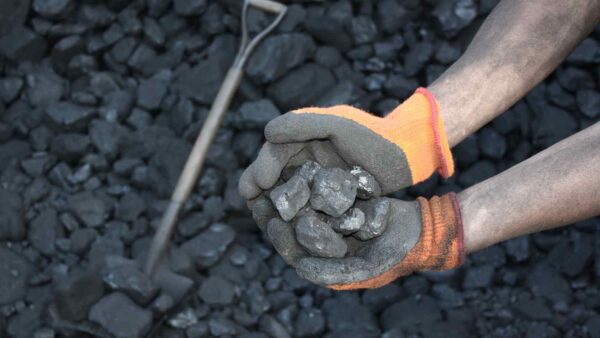 Nonostante lo sforzo di molte nazioni, compresa la Cina, di utilizzare energie alternative più sostenibili, l'uso del carbone cresce.