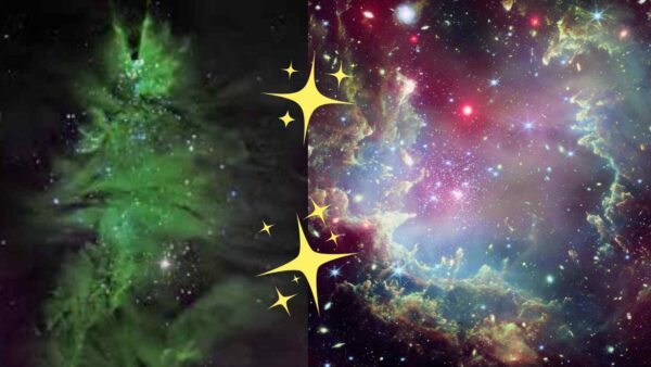 La NASA ha catturato l'ammasso stellare NGC 2264, chiamato "Albero di Natale", un'incredibile immagine cosmica a 2.500 anni luce da noi.