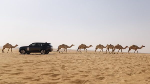 range rover