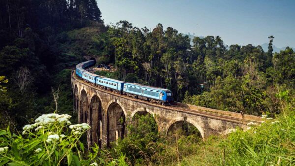 Le Ferrovie dello Stato investono 1,3 miliardi in fotovoltaico per decarbonizzare il sistema e diventare più sostenibili entro il 2029.