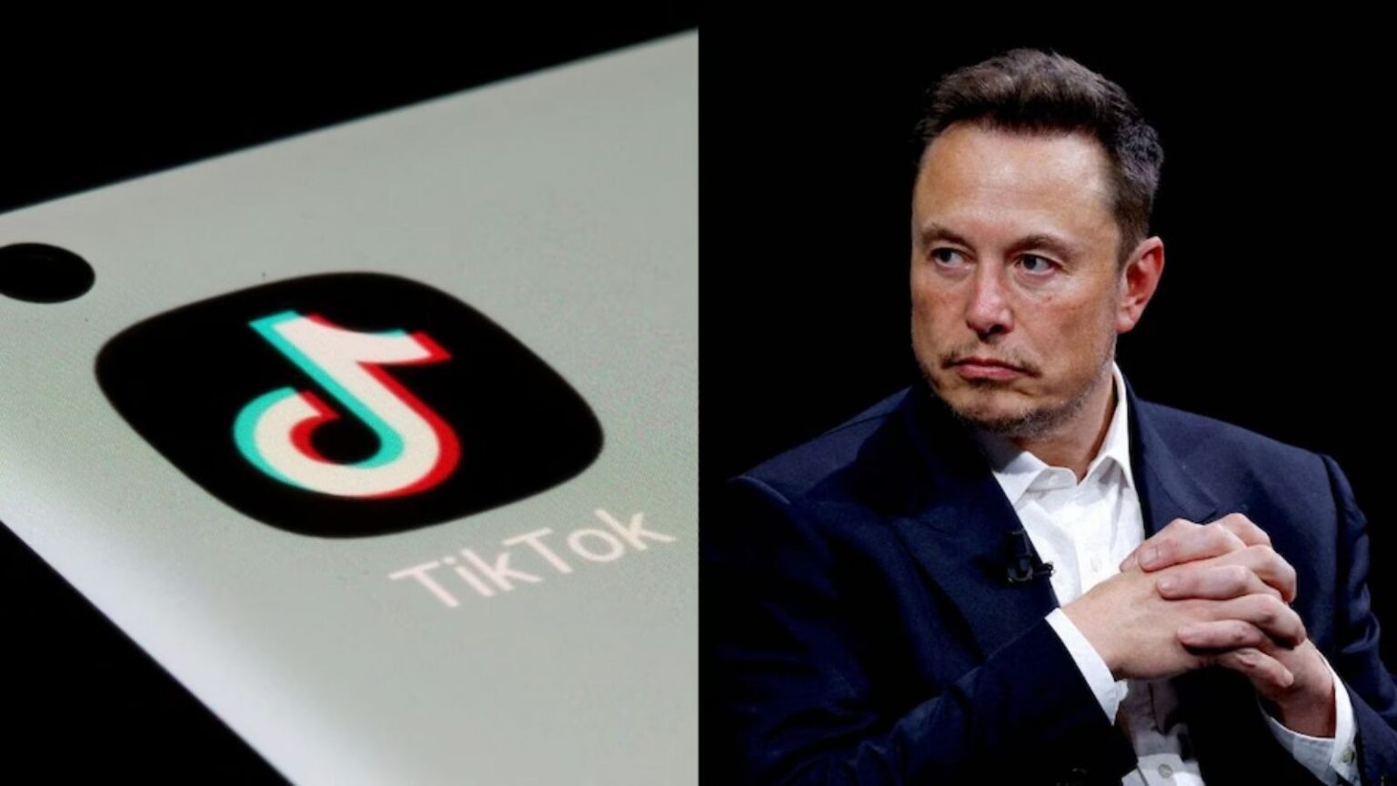 Elon Musk potrebbe comprare TikTok: la risposta dell'azienda