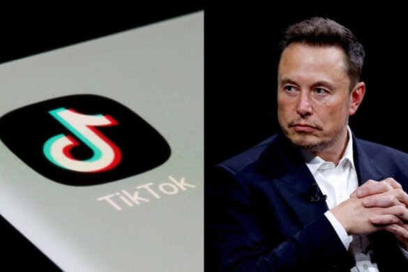 Elon Musk potrebbe comprare TikTok: la risposta dell’azienda