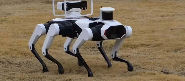 Robot cinese Antartide sei zampe