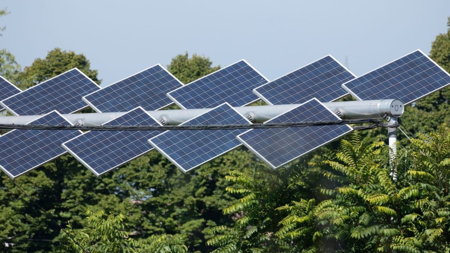 Agrivoltaico e sostenibilità: la vittoria di Lollobrigida nel 2024