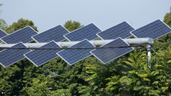 Agrivoltaico e sostenibilità: la vittoria di Lollobrigida nel 2024