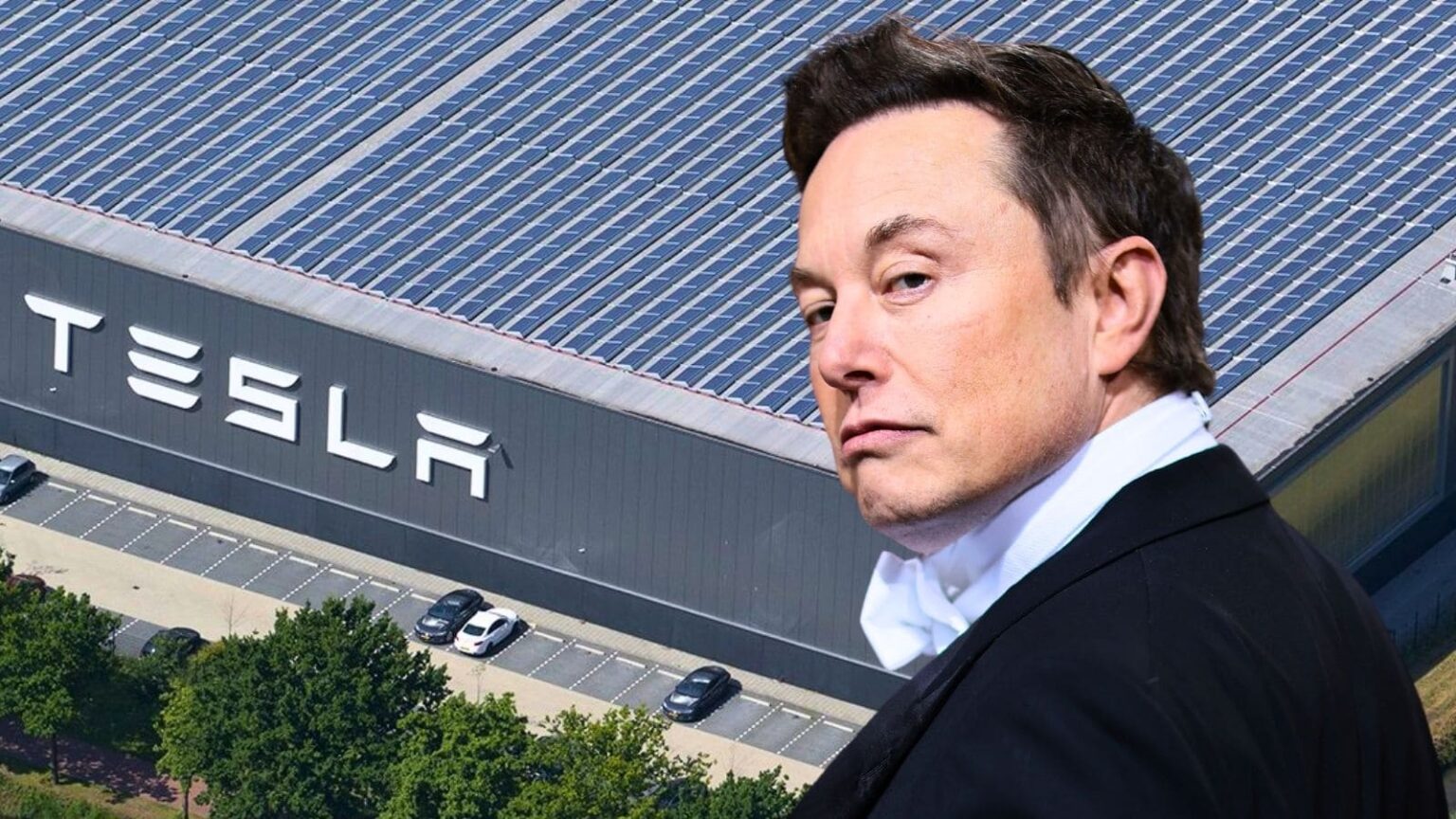 Tesla contro l’UE: il ricorso sui dazi che fa discutere